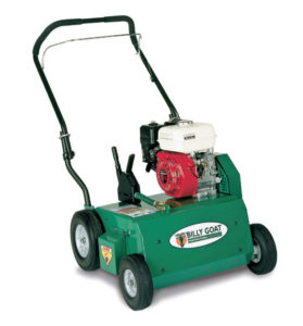 Lawn Dethatcher (Power Rake) Rental